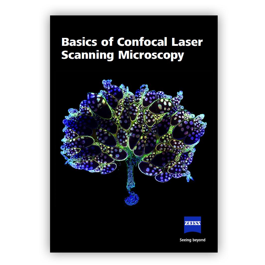 ZEISS - Basics of Confocal Laser Scanning Microscopy