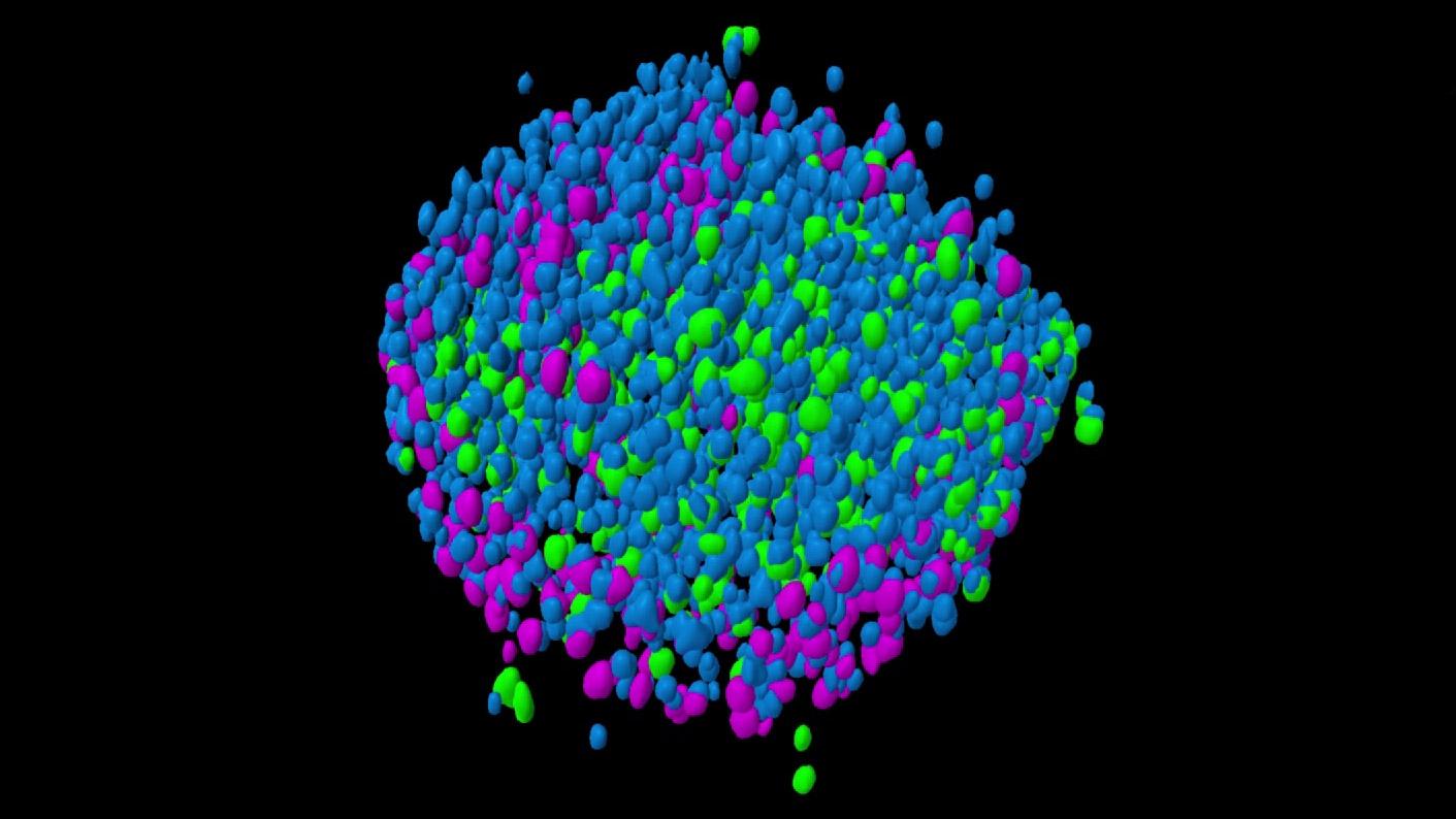 ZEISS Lightfield 4D - Speed Up Acquisition & Throughput