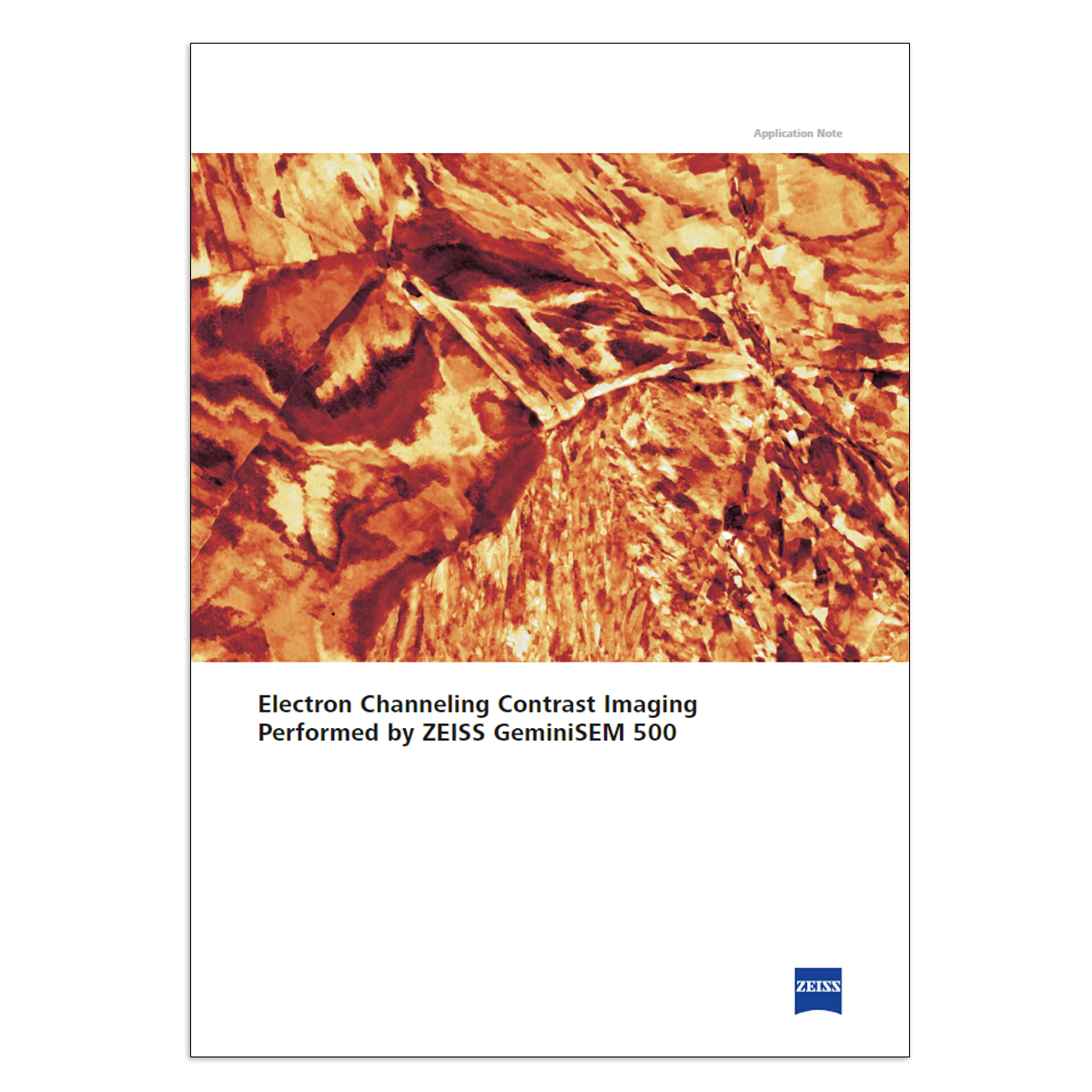 Electron Channeling Contrast Imaging