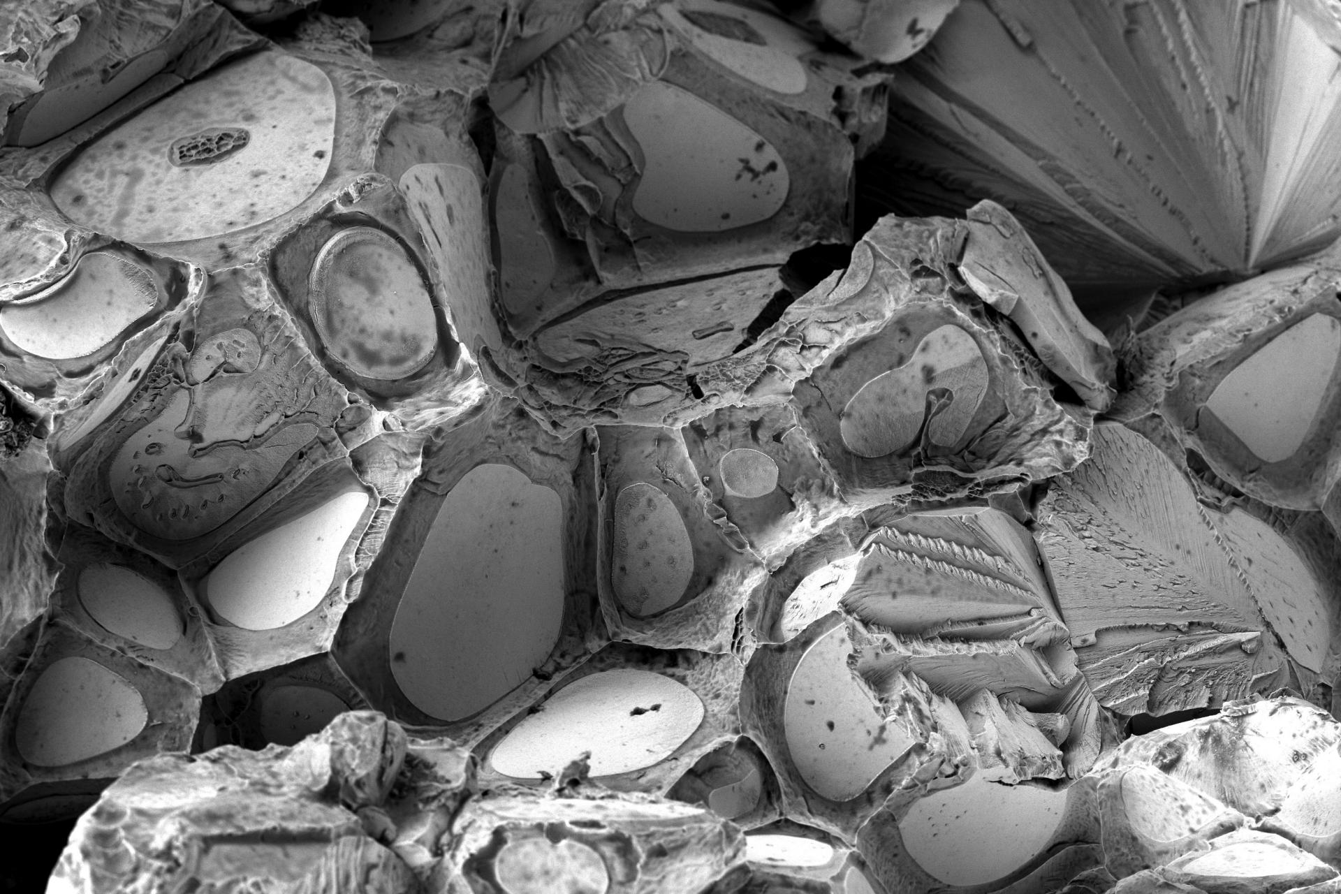 Advanced alloy material 3kV HV mode. This advanced alloy material reveals a tungsten core material surrounded by a steel matrix when imaged with Inlens SE detector at low voltage.