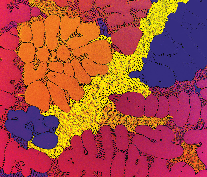 Polarization contrast light microscopy image from a Barker etched anodized AlNi3.5 sample.