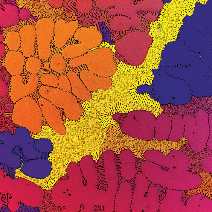Polarization contrast light microscopy image from a Barker etched anodized AlNi3.5 sample.