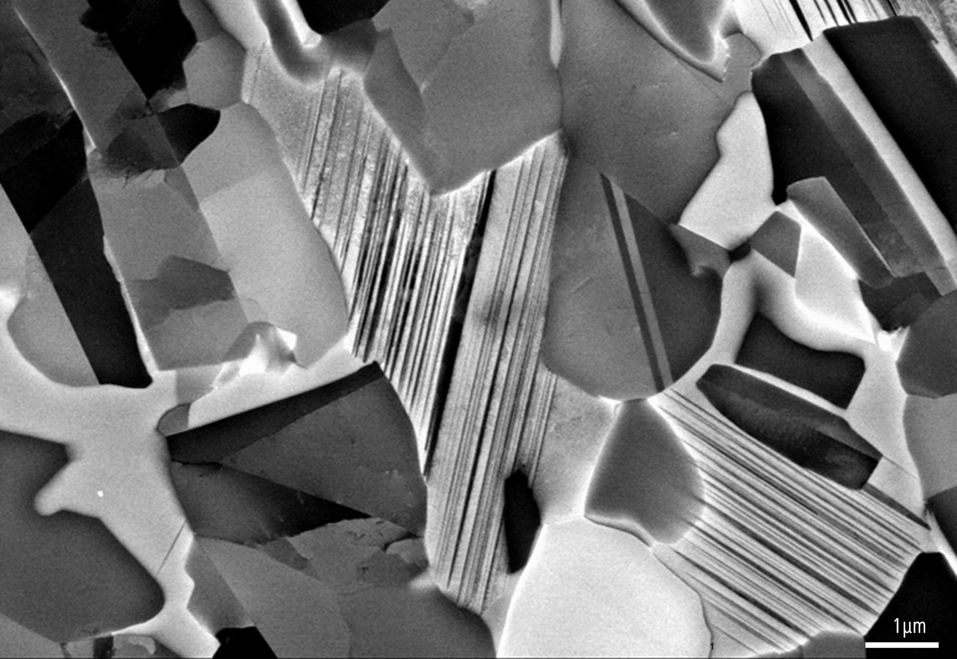 Scanning electron microscopy (SEM) delivers extremely high contrasts of crystal orientations and defects in the high temperature alloy TiAl₂.