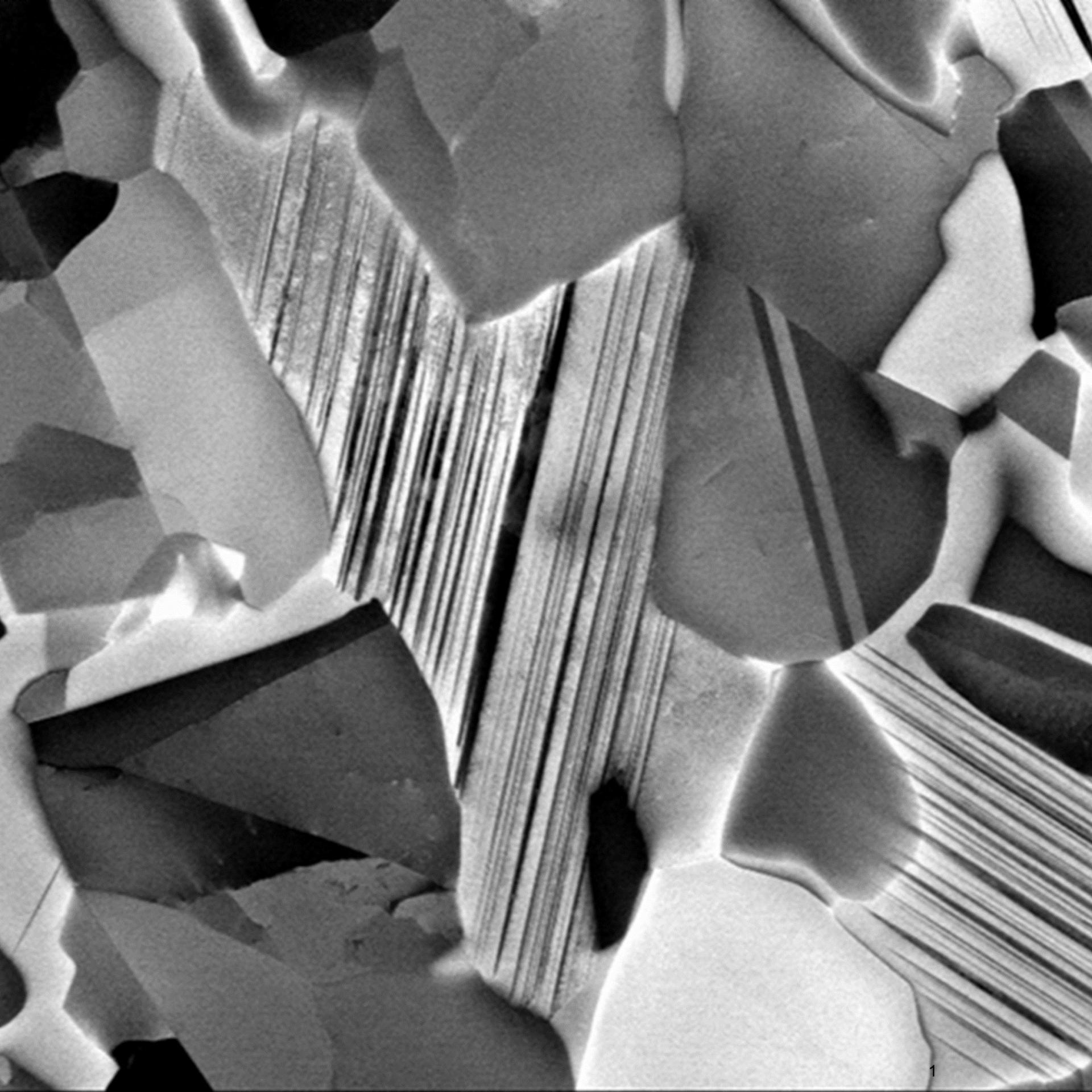 Scanning electron microscopy (SEM) delivers extremely high contrasts of crystal orientations and defects in the high temperature alloy TiAl₂.
