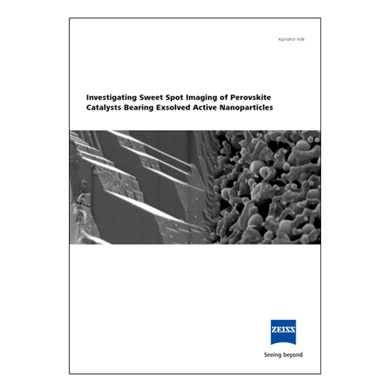 Investigating Sweet Spot Imaging of Perovskite Catalysts Bearing Exsolved Active Nanoparticles