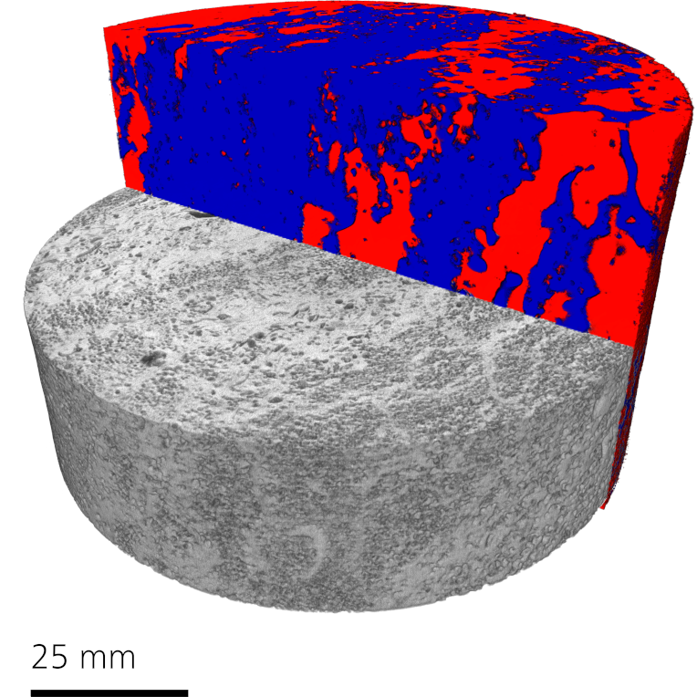 Segmented Carbonate Rock - XRM