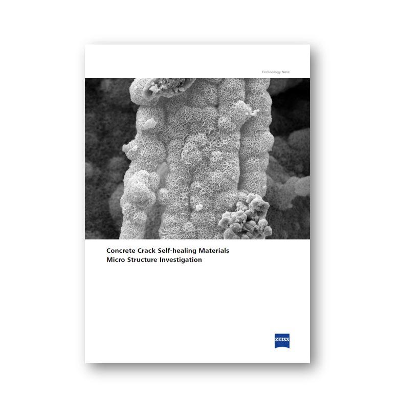 Pore Network Modeling of Marcellus Shale 