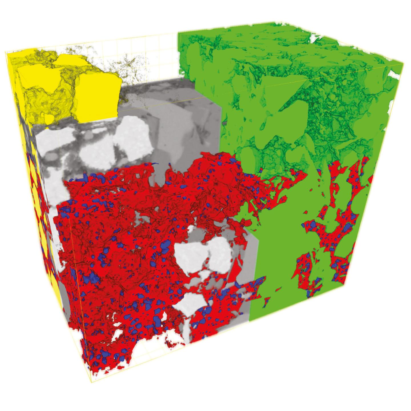 3D rendering of FIB-SEM volume of organic hosted porosity from subsurface onshore US shale, imaged using 2.5 x 2.5 x 5 nm voxels. Kerogen hosted porosity is shown in blue, kerogen in red, quartz in green and pyrite in yellow.