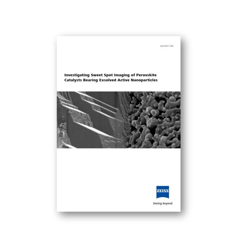 Non-destructive 3D Analysis of Engineered Porous Media |ZEISS Xradia Multi-lengthscale 3D X-ray Microscopes