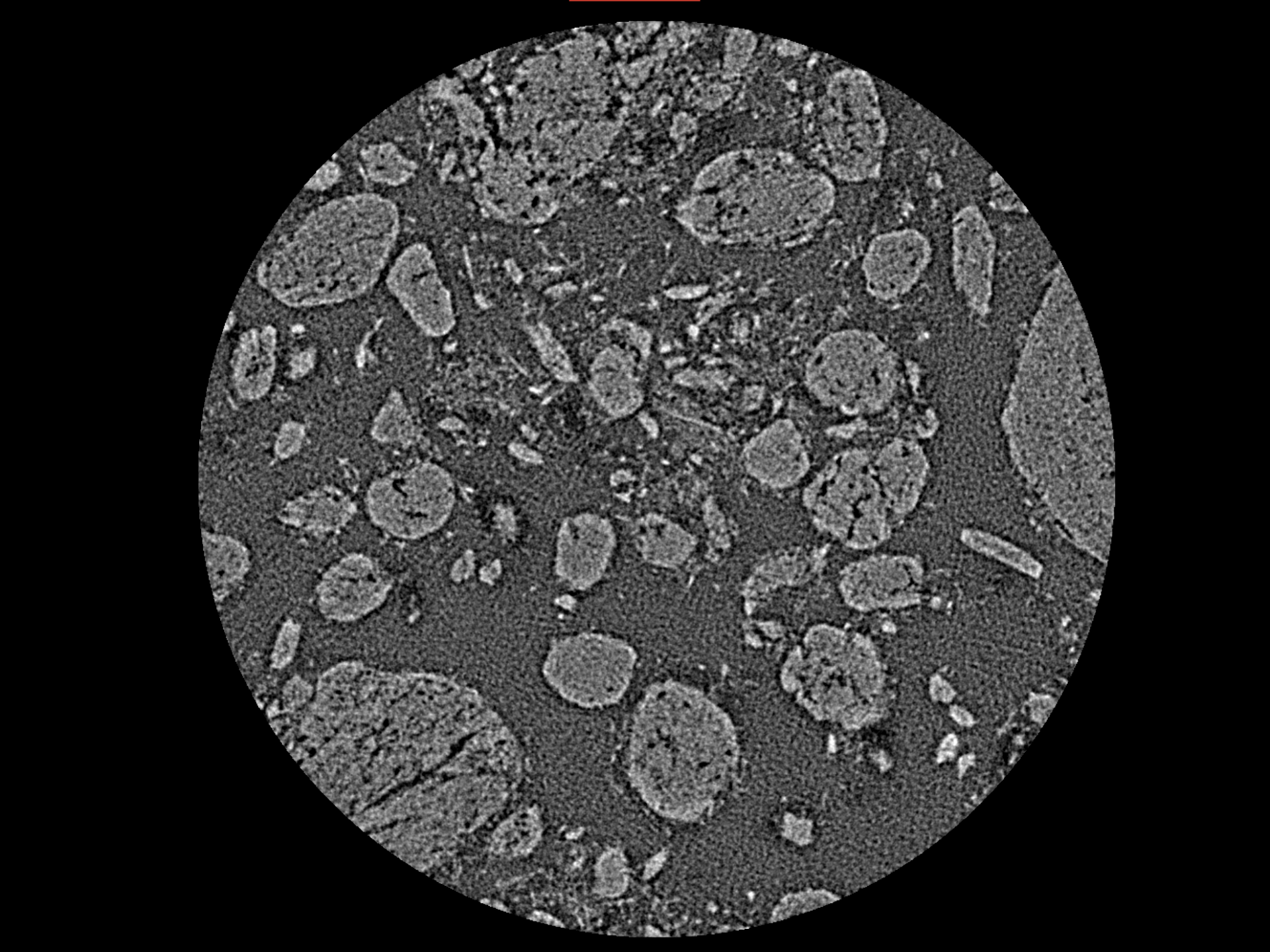 Pharmaceutical Powder Particles