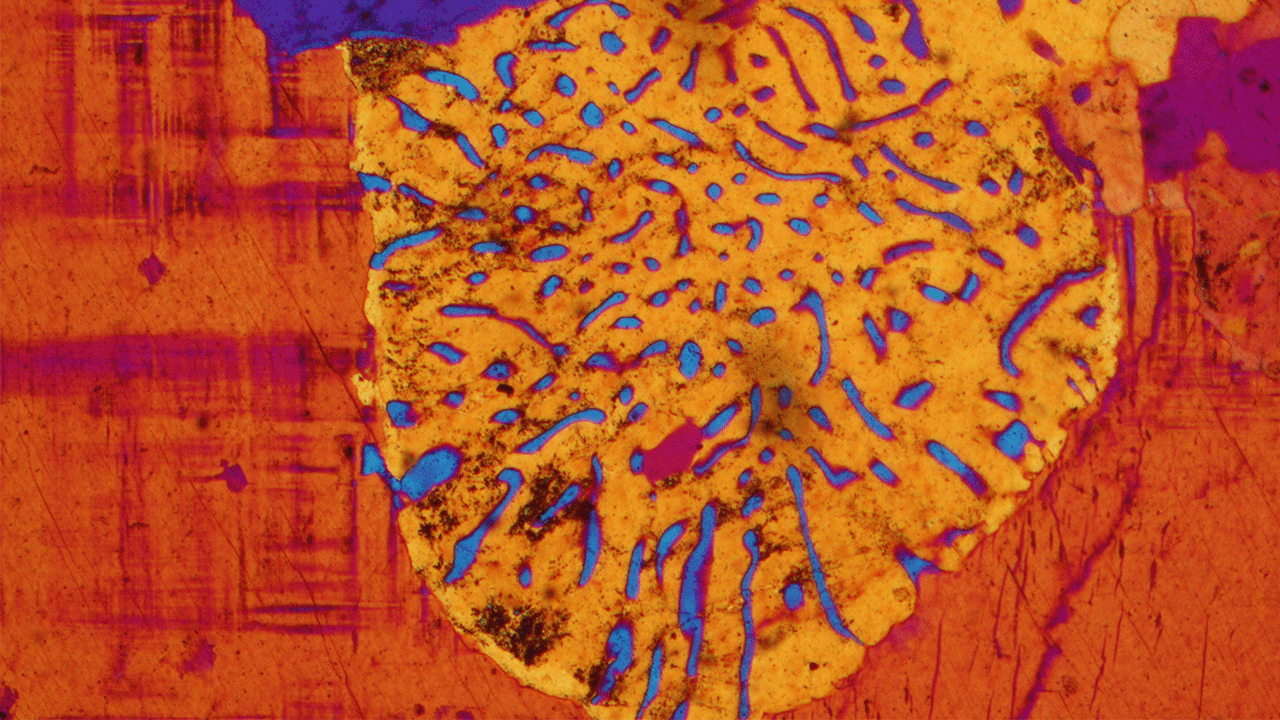 Petrographic Thin Section