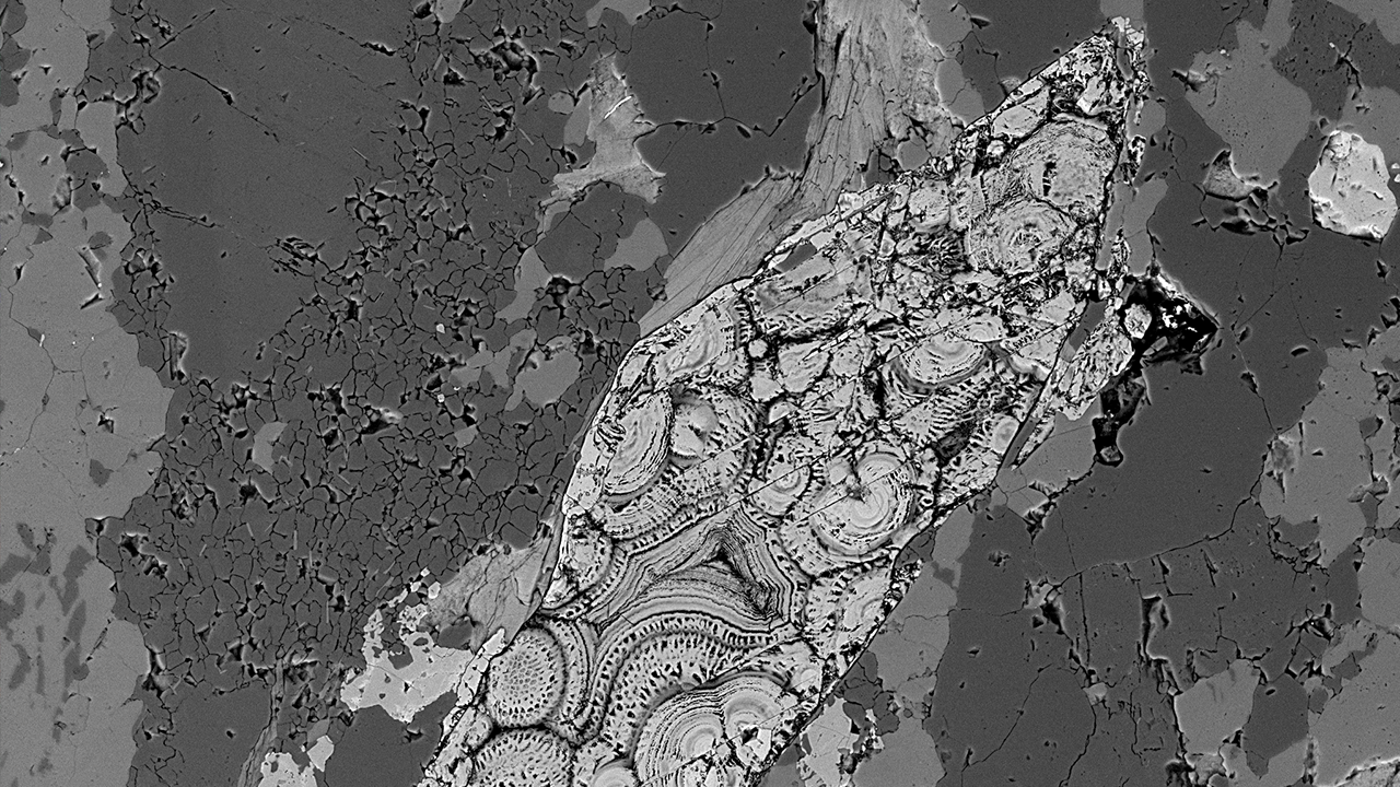 Quartz Monzonite