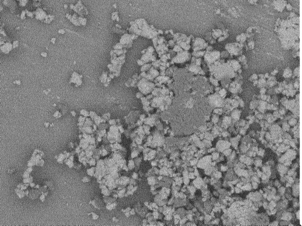 Nanocomposite Powder – Imaged with the BSE detector at 1 kV landing energy with no bias (left) and at 1 kV landing energy with 5 kV bias (right), providing enhanced material contrast and sharpness.​