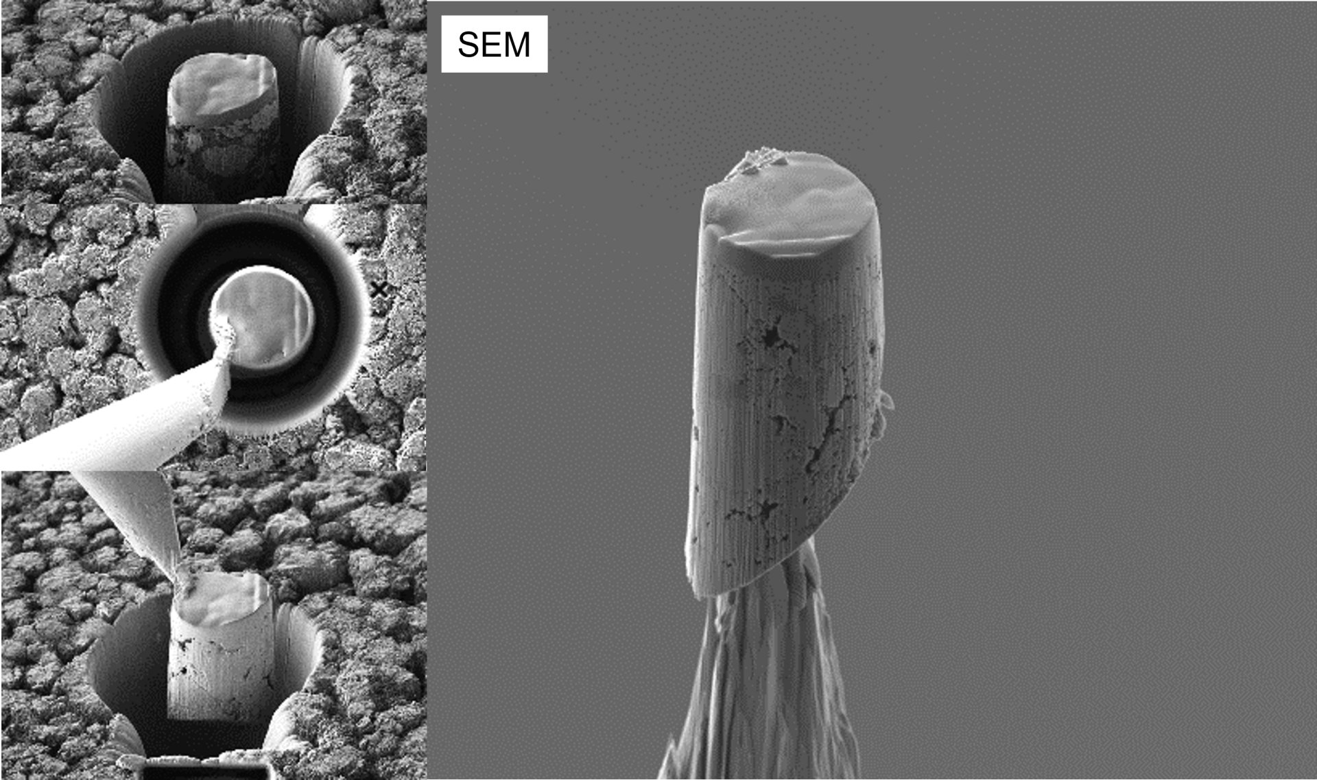 Sample preparation workflow for X-Ray Nano tomography Sample preparation workflow for X-Ray Nano tomography