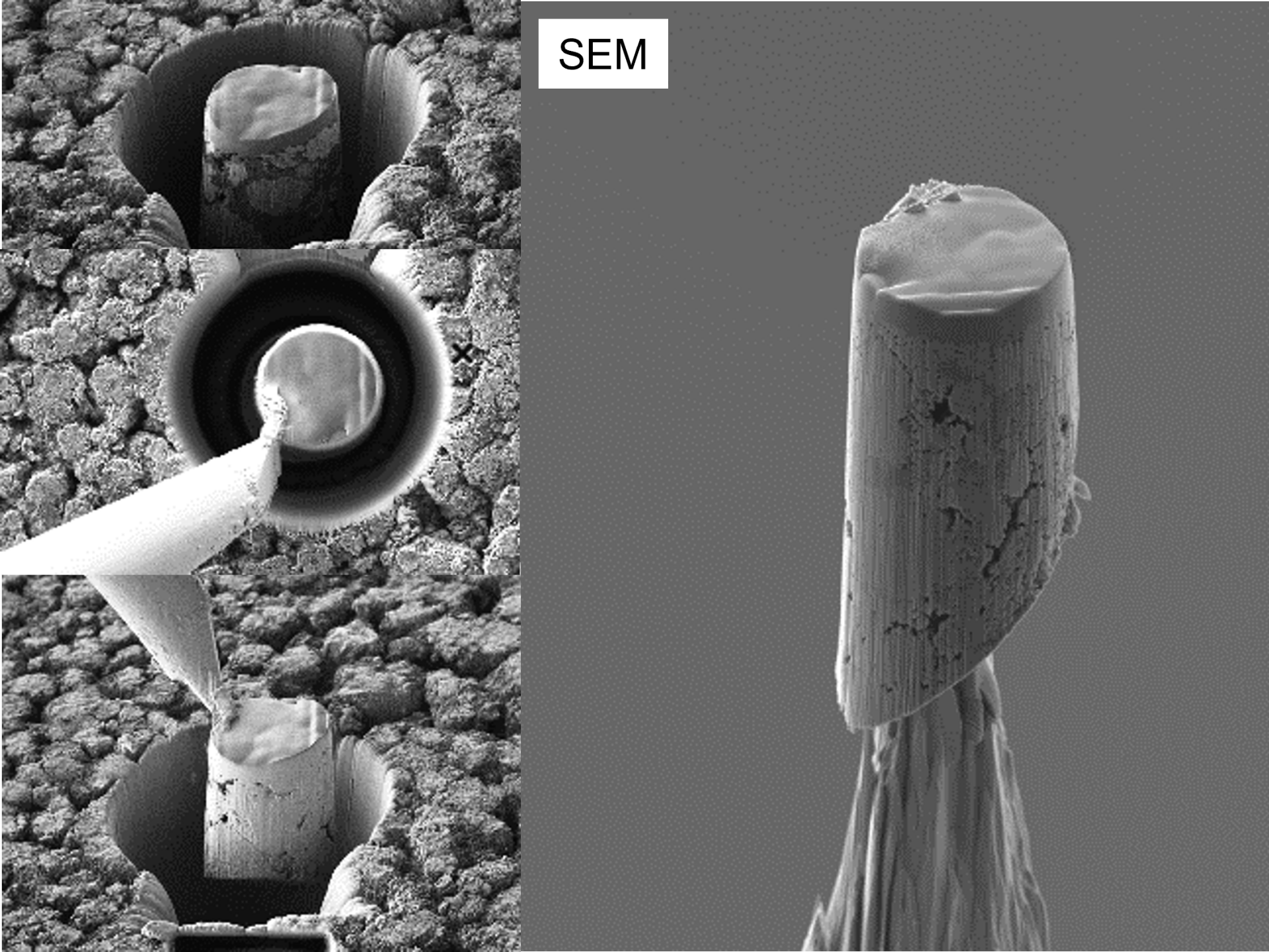 Sample preparation workflow for X-Ray Nano tomography Sample preparation workflow for X-Ray Nano tomography