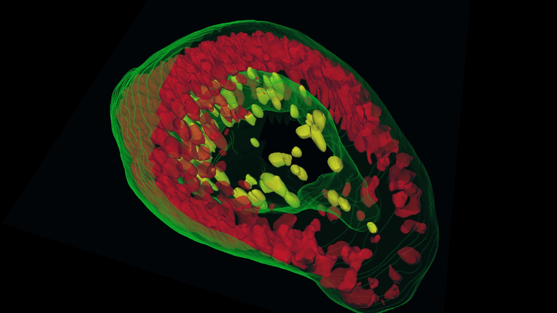 Powerful multi-dimensional image analysis