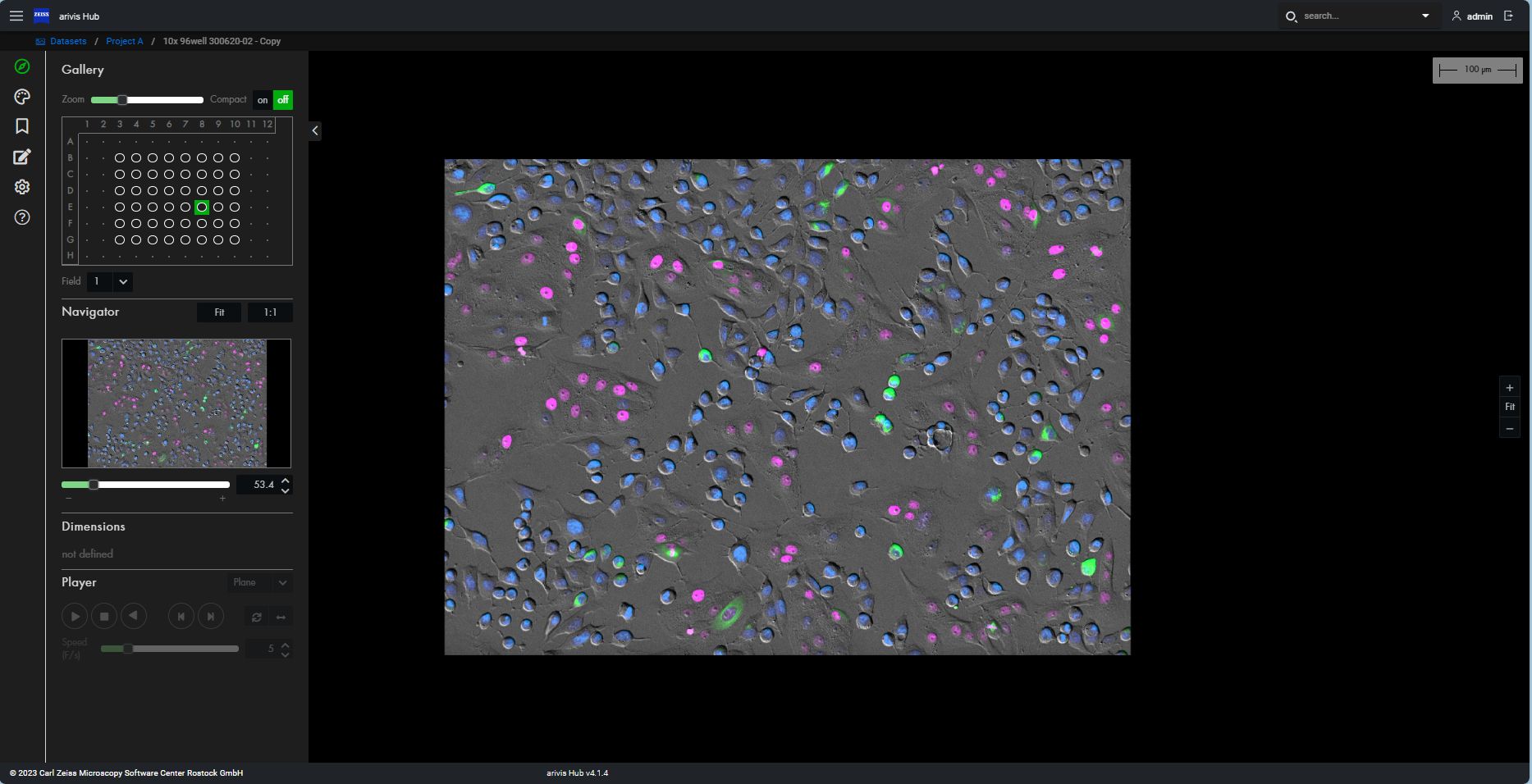 Live cell imaging and analysis