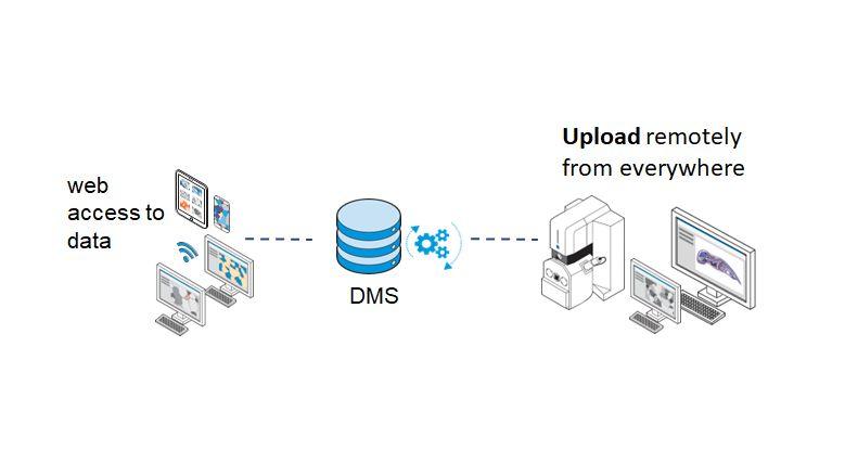 Illustration showing the flow of data with ZEISS arivis Hub DMS