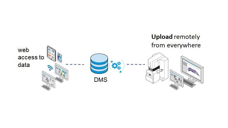 Image illustrating Data storage management