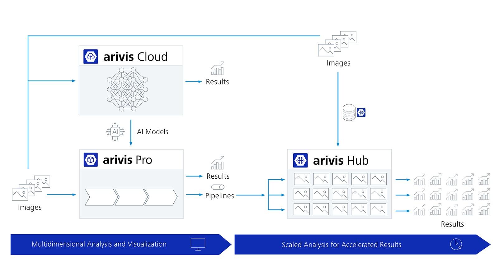 Data flow illustration for batch image analysis with ZEISS arivis Hub