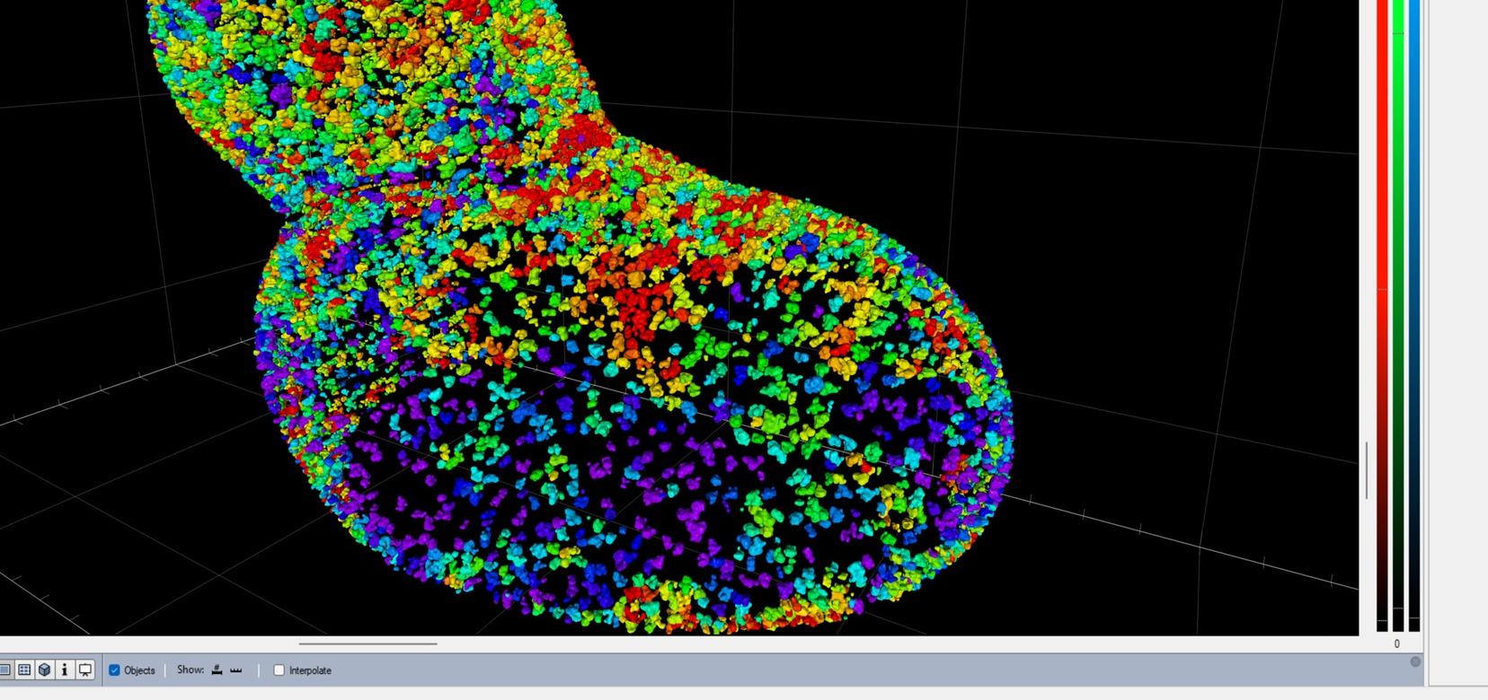 Scrren from ZEISS arivis Pro software showing user interface and a 3D visualization of micro nuclei