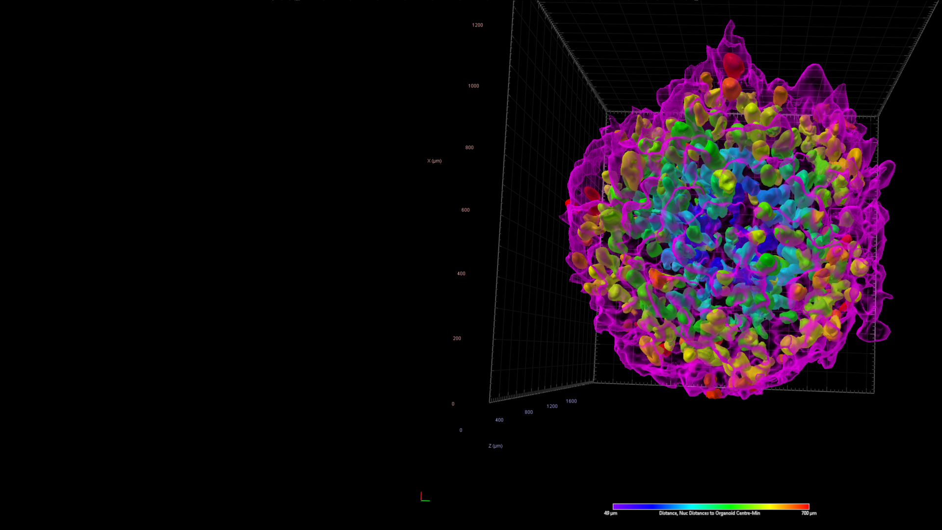 Accelerate 3D Organoid Drug Discovery with AI-Powered Analysis