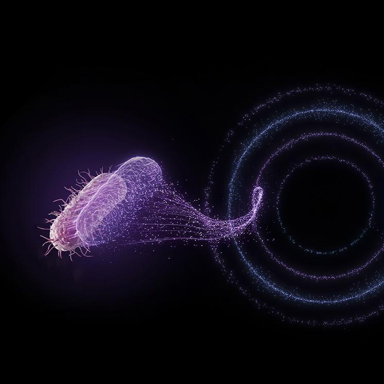 ZEISS Life Sciences Solutions | Microscopy, Software & Workflows