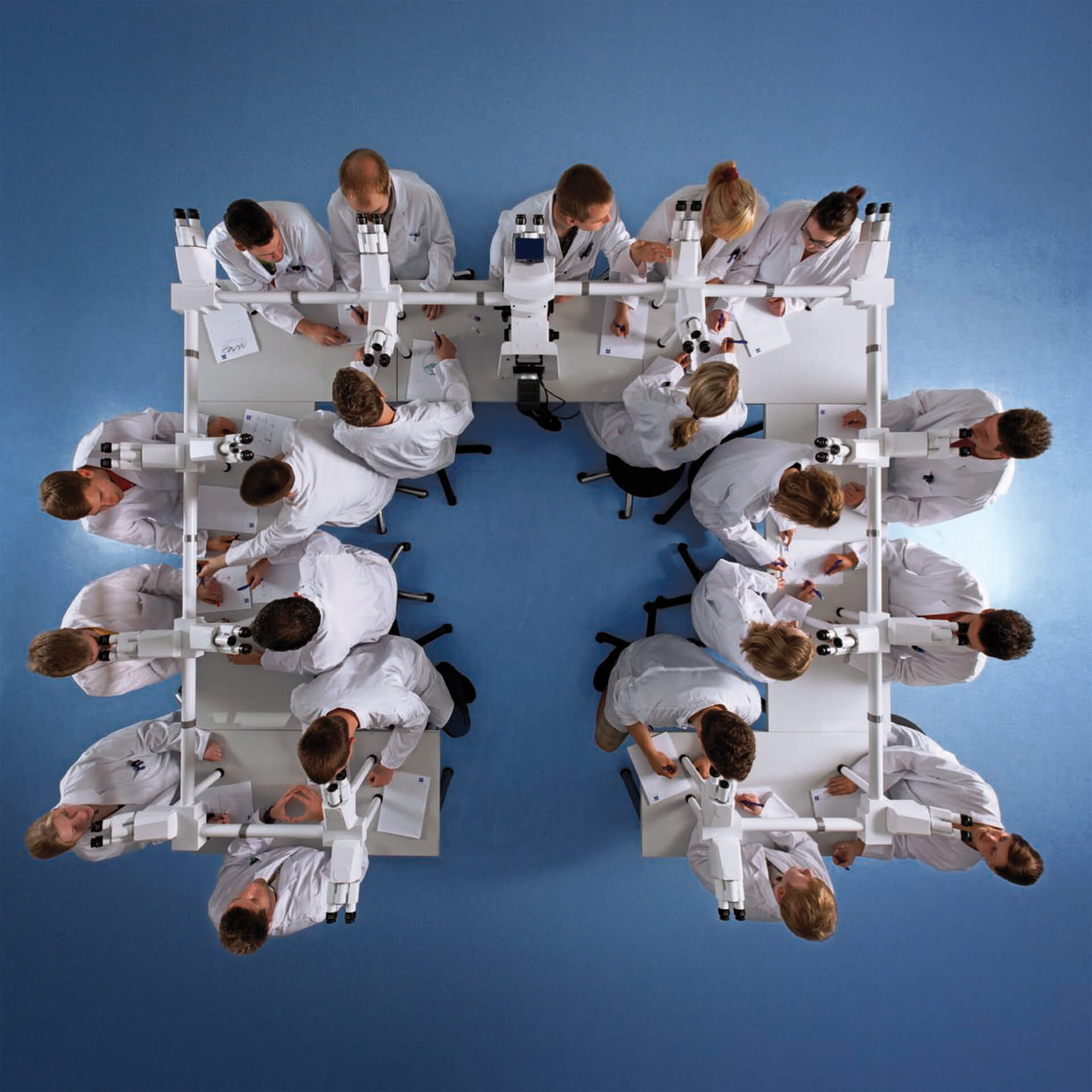 ZEISS顕微鏡を用いたマルチディスカッション, image size:1920x1920