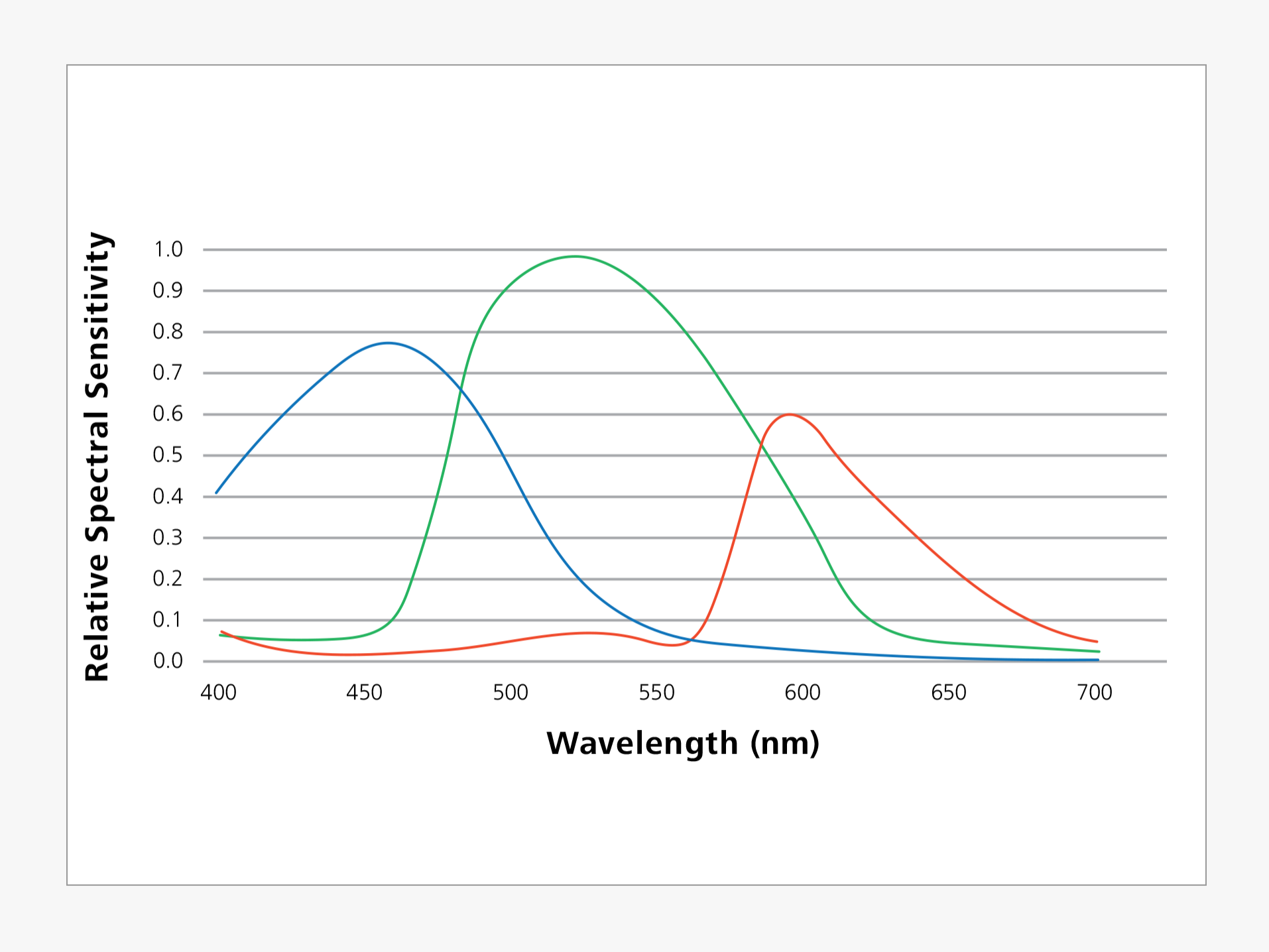 Relative Spectral Sensitivity