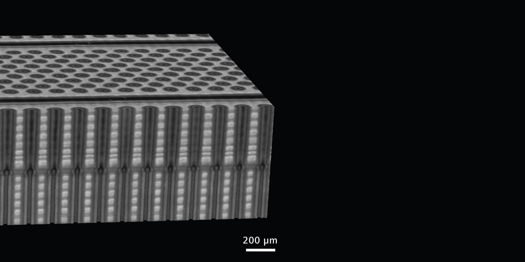 Conjunto de datos de tomografía FIB-SEM captados de una muestra NAND en 3D adquirida comercialmente. 