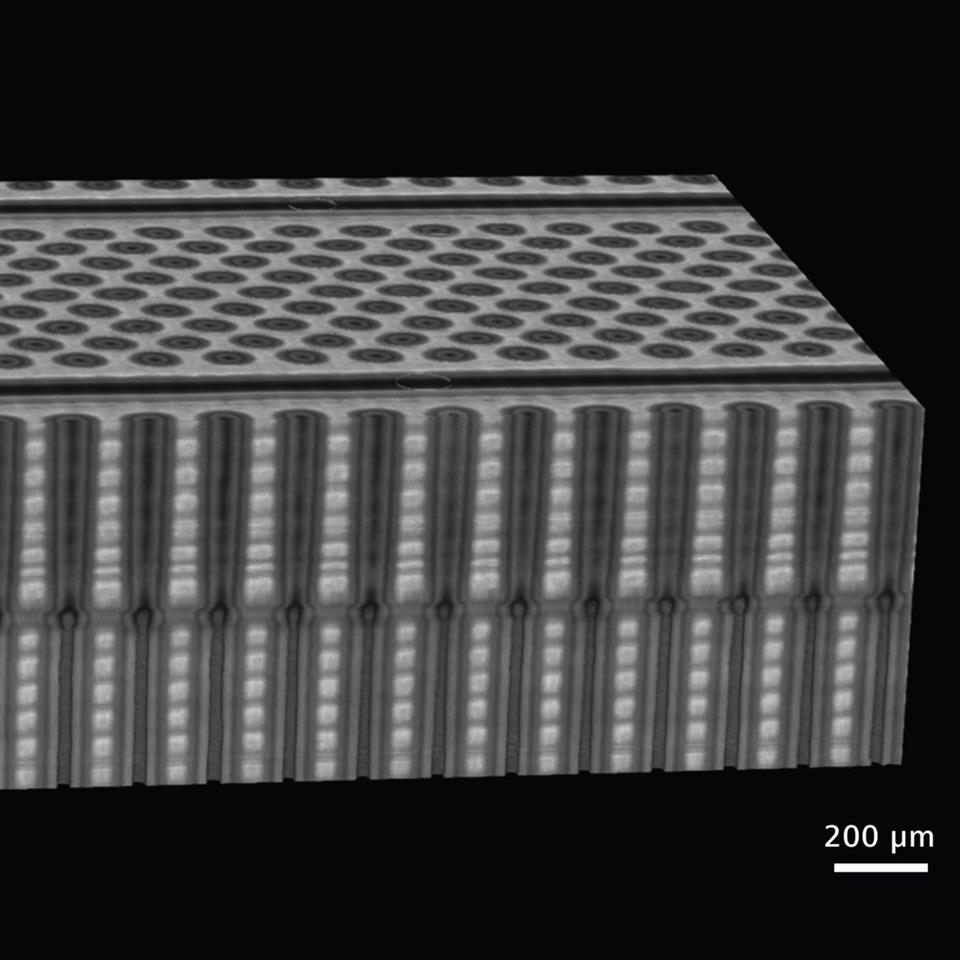 ZEISS Dynamics Profiler