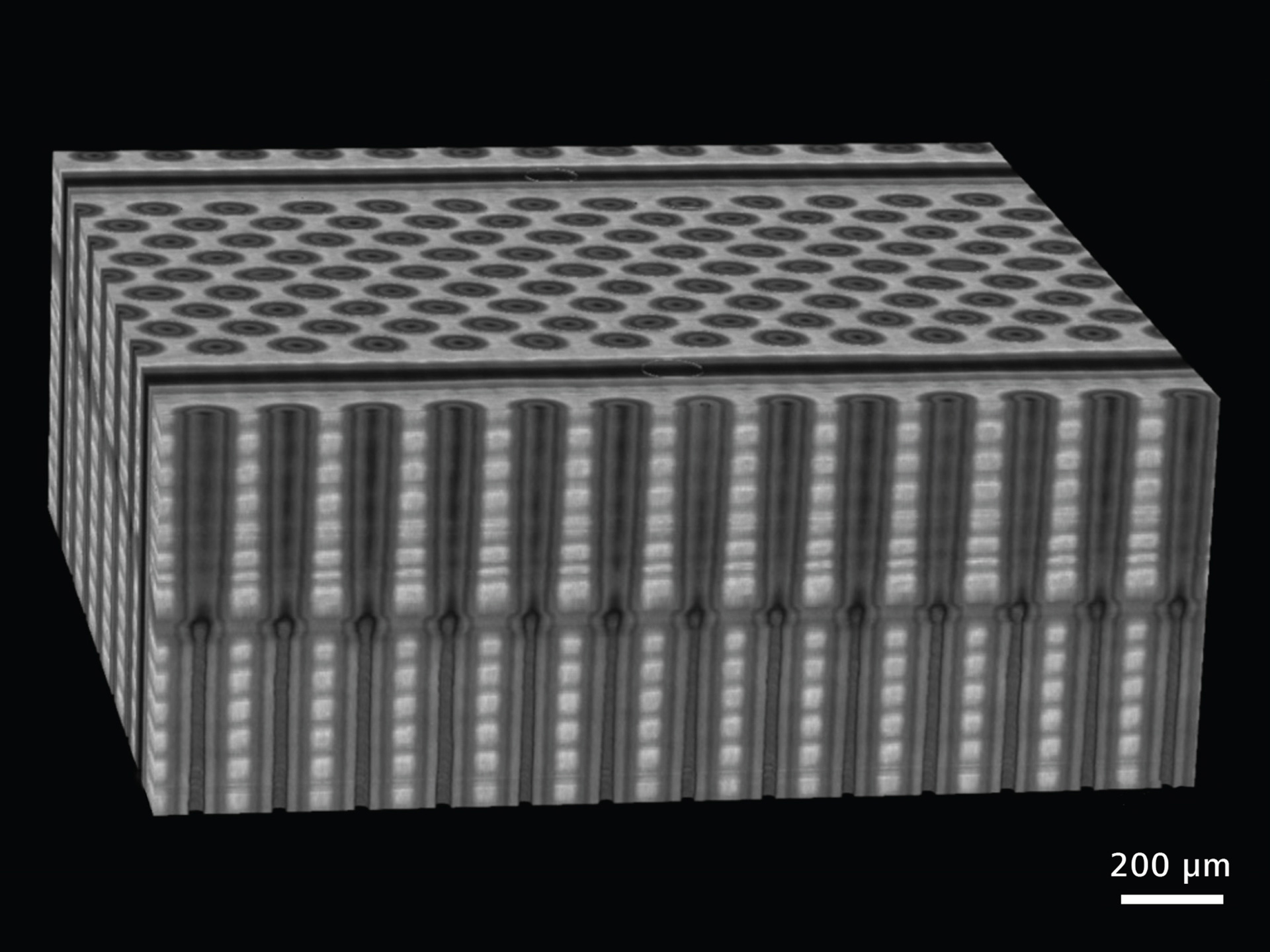 Conjunto de datos de tomografía FIB-SEM captados de una muestra NAND en 3D adquirida comercialmente. 