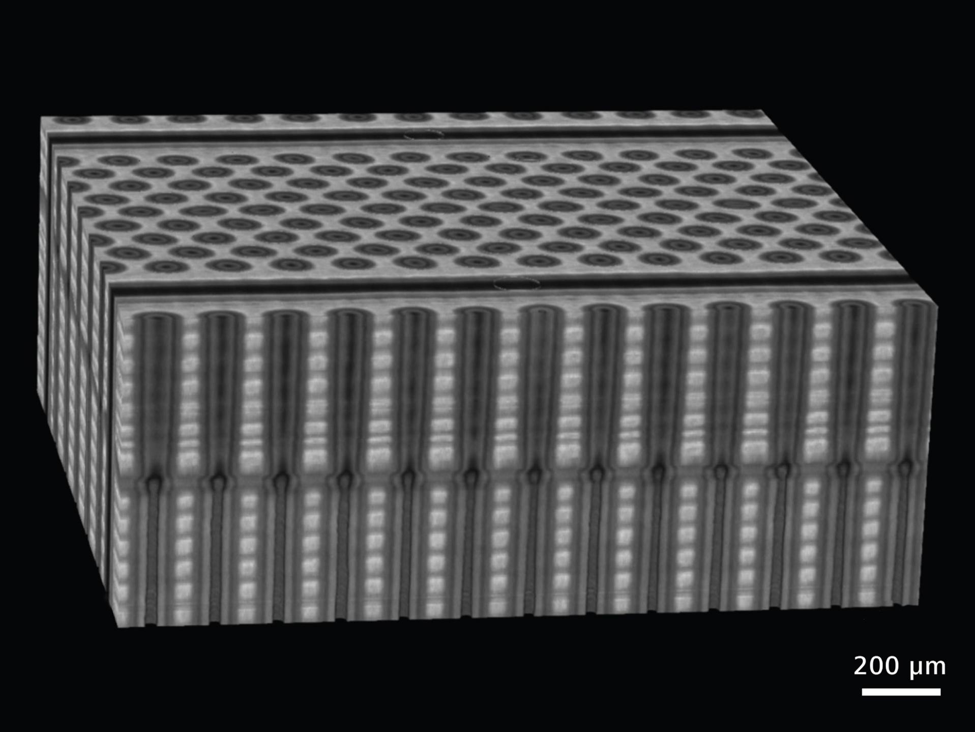 FIB‑SEM-Tomografie-Datensatz, aufgenommen an einer kommerziell erhältlichen 3D‑NAND-Probe. 