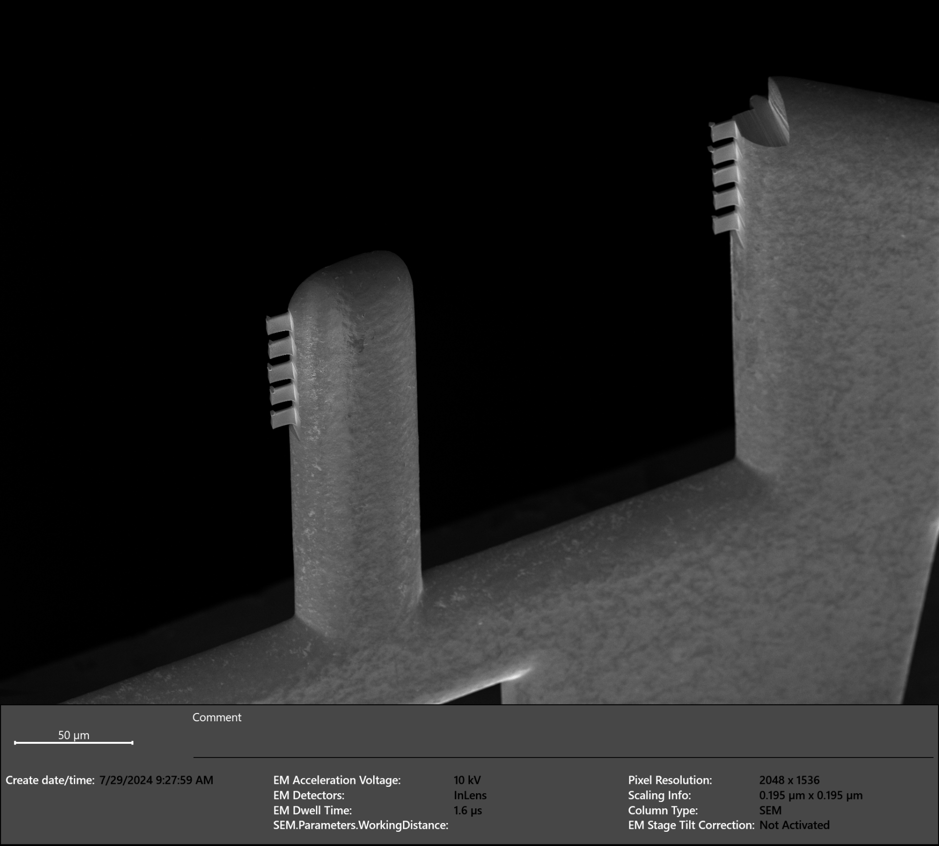 Multiple lamella on TEM grid