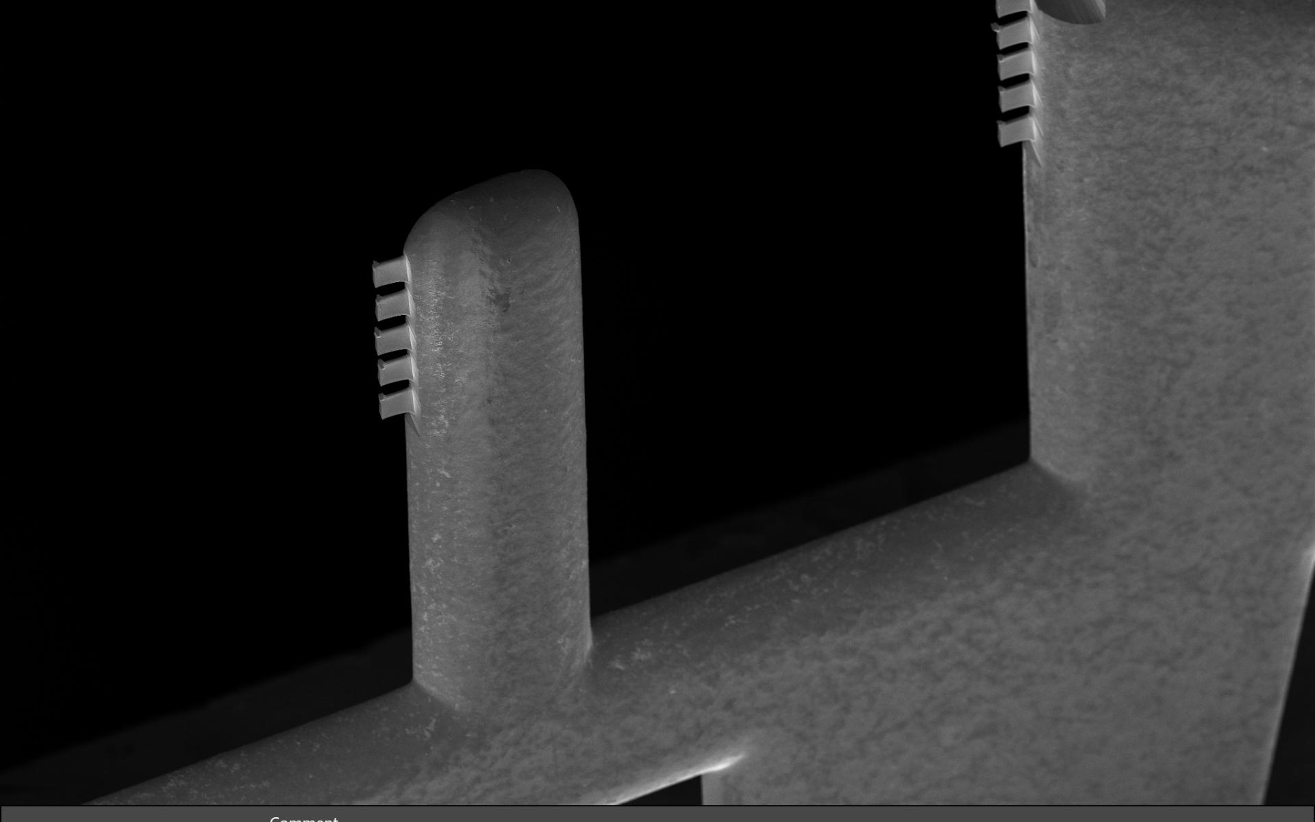 Multiple lamella on TEM grid