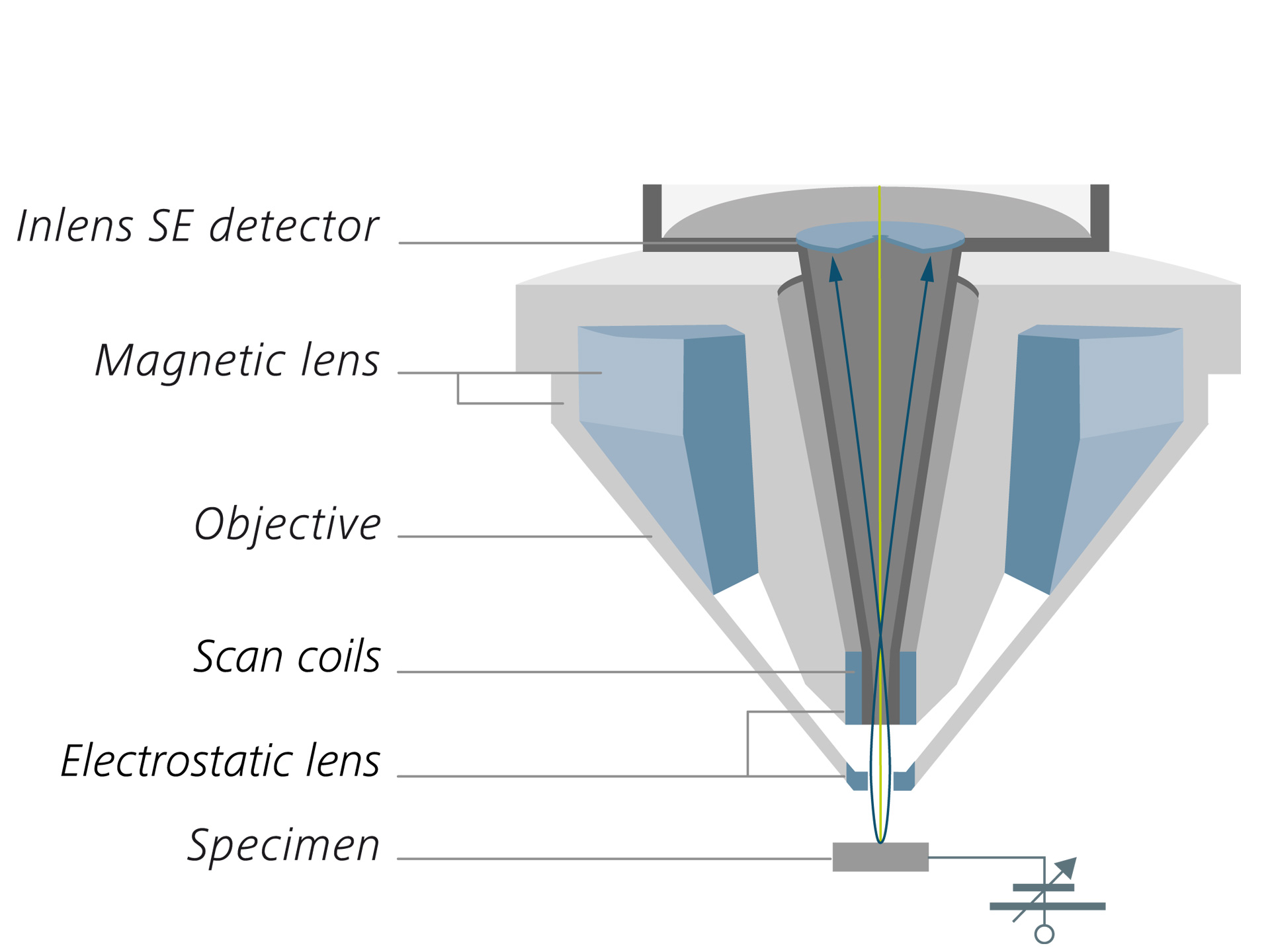 Tandem decel, eine optionale zusätzliche Probenvorspannung von bis zu 5 kV, verbessert die Imaging-Qualität bei Niederspannung.