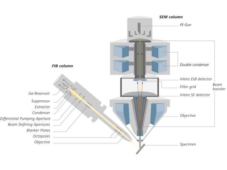 ZEISS Crossbeam 550 con una columna Gemini II incl. doble condensador y dos detectores Inlens y una columna FIB dispuesta con un ángulo de inclinación de 54°.