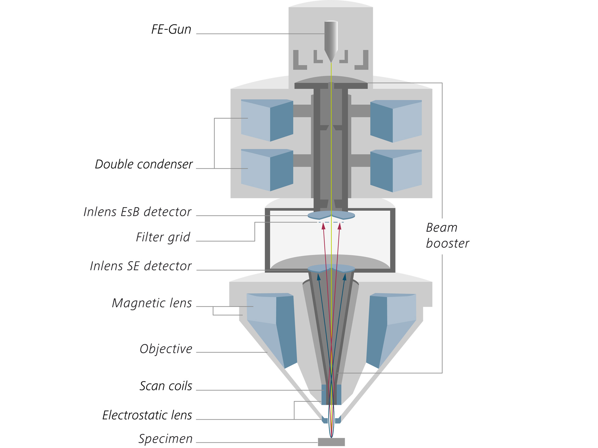 Gemini技术。Gemini 2电子光学镜筒截面示意图，包含一个双聚光镜、电子束推进器、Inlens探测器和Gemini物镜。 