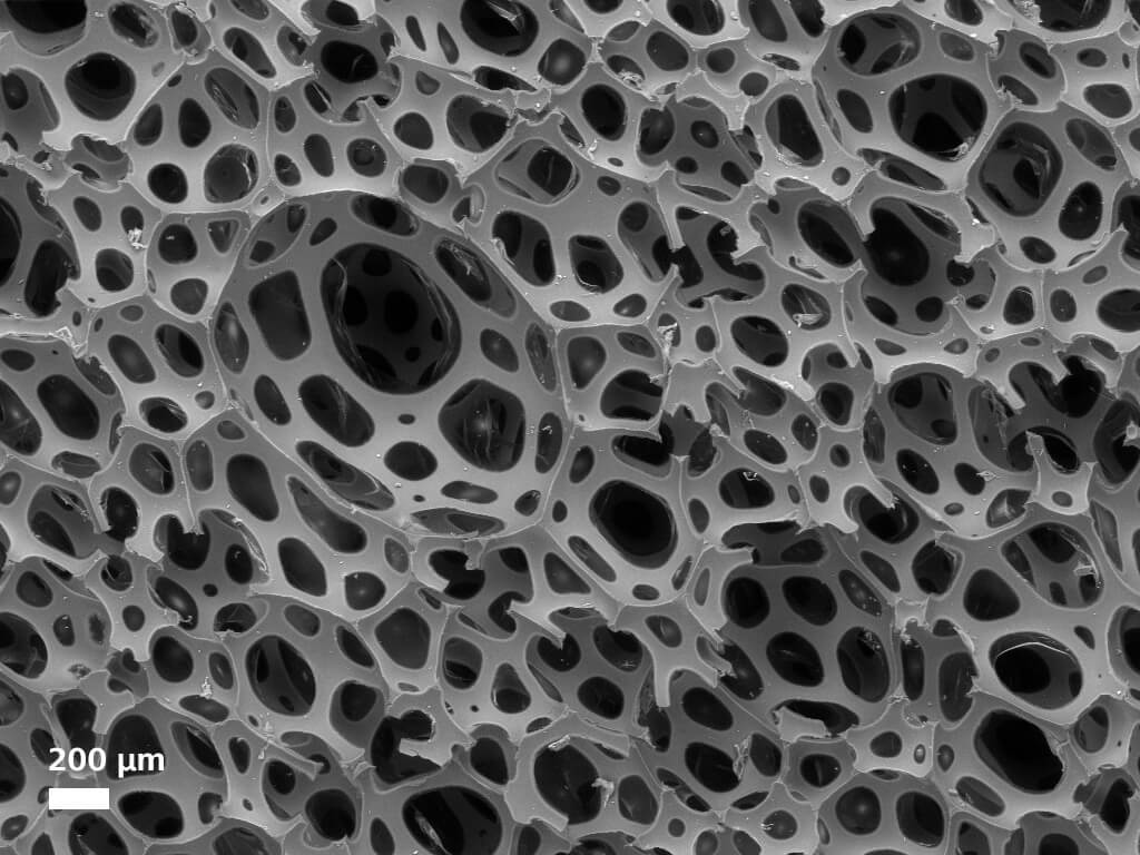 Microscope électronique à balayage ZEISS EVO