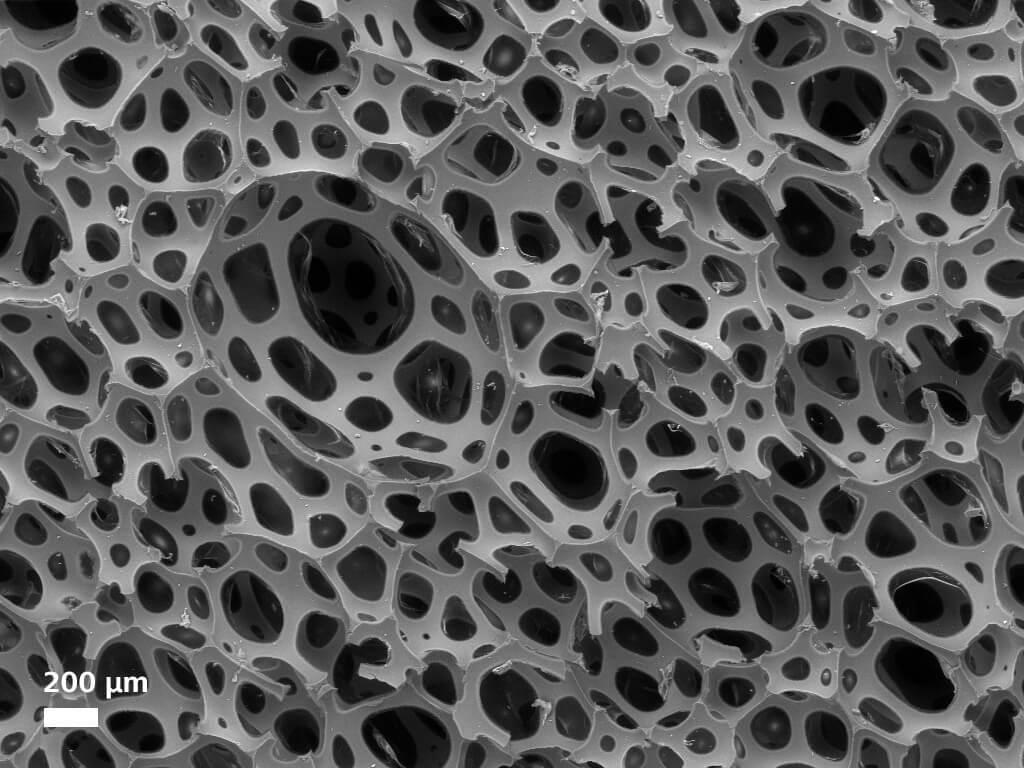 Car seat cushion foam, imaged uncoated in Variable Pressure mode with the BSE detector.