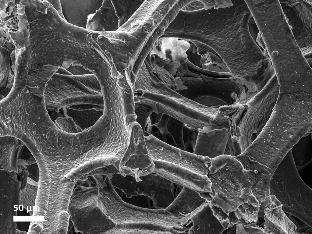 Estructura de espuma de grafeno de un conjunto de baterías, capturada mediante el detector SE en alto vacío.