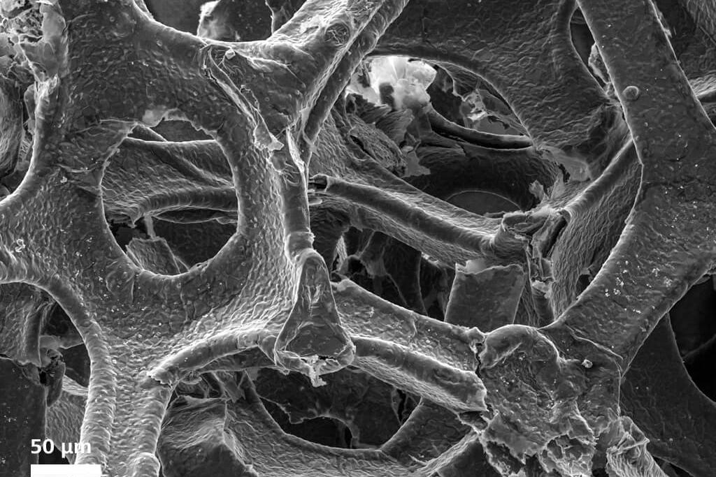 Graphen-Schaum-Struktur eines Batteriesystems, abgebildet im Hochvakuum mit dem SE-Detektor.