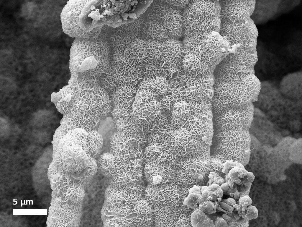 Expansion and crack bridging network of self-healing minerals, imaged using SE detector at 12 kV shows flower-like hydro-magnesite structures is formed.