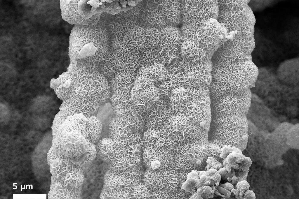 Expansion and crack bridging network of self-healing minerals, imaged using SE detector at 12 kV shows flower-like hydro-magnesite structures is formed.