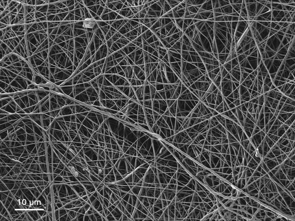 ゼラチンマットはホルムアルデヒドが豊富な雰囲気下で安定化したため、化学反応によって繊維の架橋が起きました。試料ご提供：Fraunhofer IMWS, DE