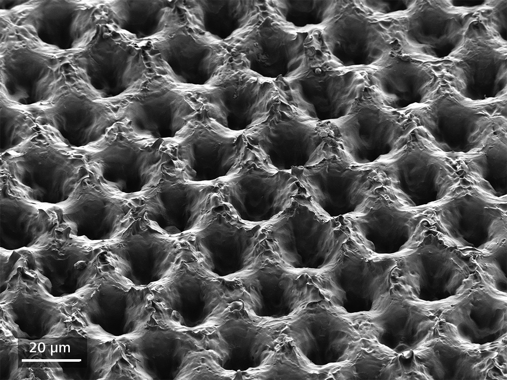 Polyurethanfolie. Die Oberflächenstruktur beeinflusst das Benetzungsverhalten gegenüber superhydrophoben Eigenschaften stark. Probe mit freundlicher Genehmigung von Fraunhofer IGB Stuttgart, Deutschland. 