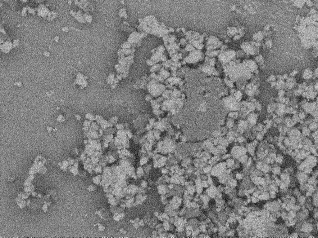 Imaged with the BSE detector at 1 kV landing energy with no bias (left) and at 1 kV landing energy with 5 kV bias (right), providing enhanced material contrast and sharpness.​