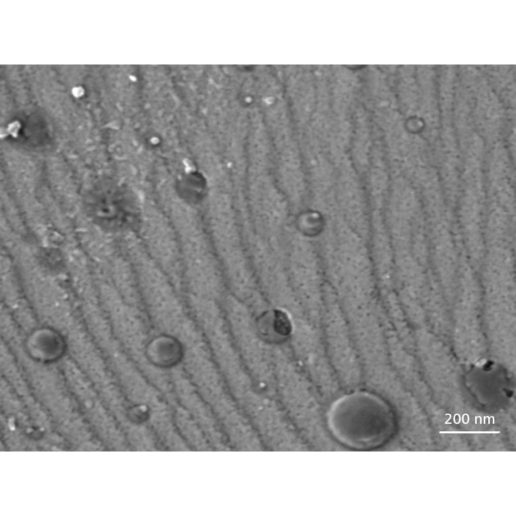 Inclusions dans un acier, détecteur Inlens SE, 500 V 