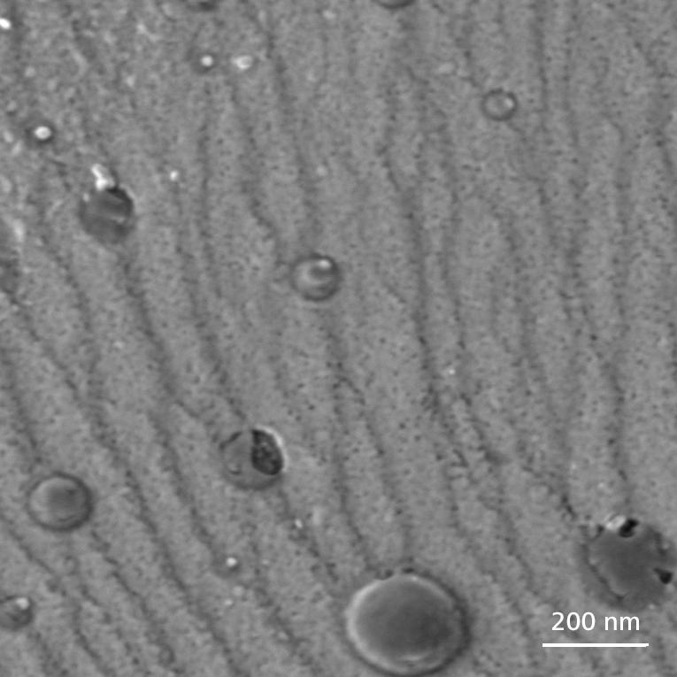 Inclusions dans un acier, détecteur Inlens SE, 500 V