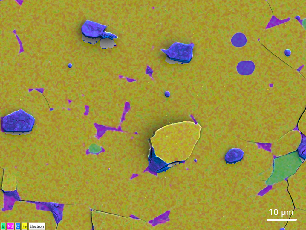 A fractured surface of a demagnetized NdFeB sample, EDS map. The fine distribution of boron (green) is easy to resolve against neodymium (pink). GeminiSEM 460, annular Backscatter Detector at 3 kV without bias. 